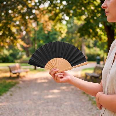 GEISHA