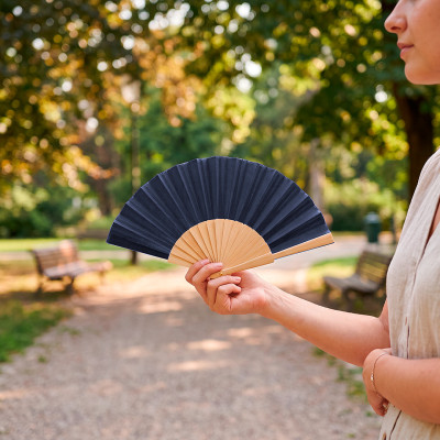 GEISHA