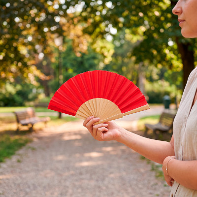 GEISHA