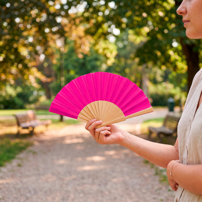 GEISHA