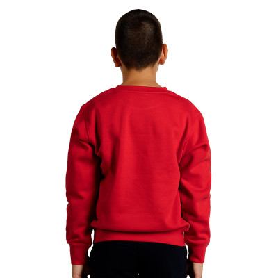 SPRING KID - Dukserice